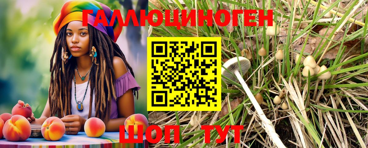 Волгодонск  закладка  Вход с VPN  Галлюциногенные грибы Psilocybine cubensis 